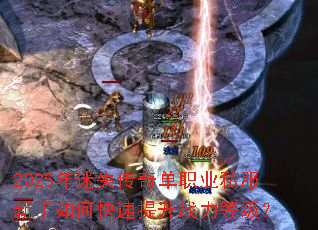 2025年迷失传奇单职业私服新手如何快速提升战力等级? 2025年迷失传奇单职业私服新手如何快速提升战力等级?