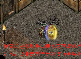传奇公益服新手如何快速获取极品装备?职业选择与升级技巧全解析 传奇公益服新手如何快速获取极品装备?职业选择与升级技巧全解析