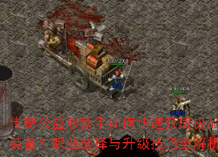 传奇公益服新手如何快速获取极品装备?职业选择与升级技巧全解析 传奇公益服新手如何快速获取极品装备?职业选择与升级技巧全解析