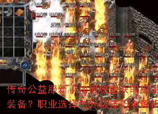 传奇公益服新手如何快速获取极品装备?职业选择与升级技巧全解析 传奇公益服新手如何快速获取极品装备?职业选择与升级技巧全解析