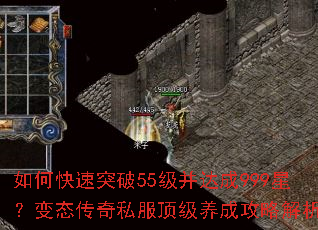 如何快速突破55级并达成999星?变态传奇私服顶级养成攻略解析? 如何快速突破55级并达成999星?变态传奇私服顶级养成攻略解析?