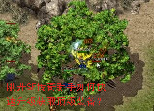 刚开SF传奇新手如何快速升级获取顶级装备? 刚开SF传奇新手如何快速升级获取顶级装备?
