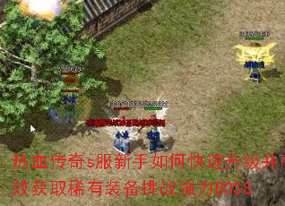 热血传奇s服新手如何快速升级并高效获取稀有装备挑战强力BOSS 热血传奇s服新手如何快速升级并高效获取稀有装备挑战强力BOSS