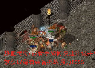 热血传奇s服新手如何快速升级并高效获取稀有装备挑战强力BOSS 热血传奇s服新手如何快速升级并高效获取稀有装备挑战强力BOSS