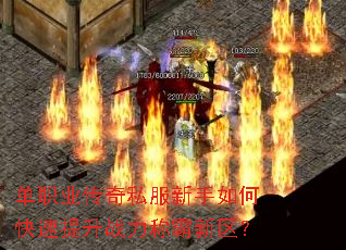 单职业传奇私服新手如何快速提升战力称霸新区? 单职业传奇私服新手如何快速提升战力称霸新区?