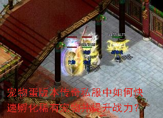 宠物蛋版本传奇私服中如何快速孵化稀有宠物并提升战力? 宠物蛋版本传奇私服中如何快速孵化稀有宠物并提升战力?