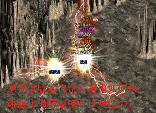 宠物蛋版本传奇私服中如何快速孵化稀有宠物并提升战力? 宠物蛋版本传奇私服中如何快速孵化稀有宠物并提升战力?