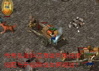 传奇私服钟汉良版阿朱技能搭配与升级路线如何规划? 传奇私服钟汉良版阿朱技能搭配与升级路线如何规划?