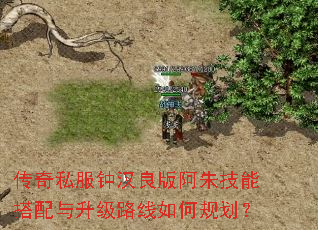 传奇私服钟汉良版阿朱技能搭配与升级路线如何规划? 传奇私服钟汉良版阿朱技能搭配与升级路线如何规划?