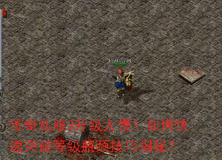 传奇私服3升级太慢?如何快速突破等级瓶颈技巧揭秘? 传奇私服3升级太慢?如何快速突破等级瓶颈技巧揭秘?