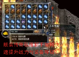 靓装传奇私服新手如何快速提升战力与装备等级? 靓装传奇私服新手如何快速提升战力与装备等级?
