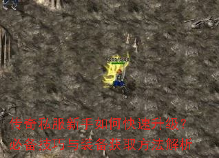 传奇私服新手如何快速升级?必备技巧与装备获取方法解析 传奇私服新手如何快速升级?必备技巧与装备获取方法解析