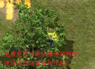 免费变态传奇私服中如何快速获取顶级装备与技能? 免费变态传奇私服中如何快速获取顶级装备与技能?