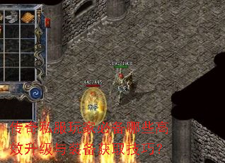 传奇私服玩家必备哪些高效升级与装备获取技巧? 传奇私服玩家必备哪些高效升级与装备获取技巧?