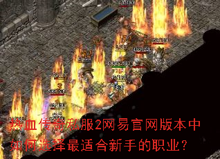 热血传奇私服2网易官网版本中如何选择最适合新手的职业? 热血传奇私服2网易官网版本中如何选择最适合新手的职业?