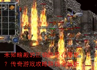 δ֪�������ȷ·�������������Ϸ����·��ȫ����