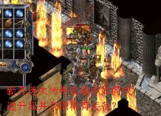 新开迷失传奇私服中如何快速升级并获取稀有装备? 新开迷失传奇私服中如何快速升级并获取稀有装备?