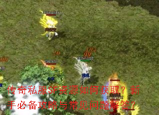 传奇私服SF资源如何获取?新手必备攻略与常见问题解答? 传奇私服SF资源如何获取?新手必备攻略与常见问题解答?