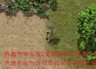 热血传奇私服2免费版新手必看?如何快速升级与获取顶级装备攻略大揭秘 热血传奇私服2免费版新手必看?如何快速升级与获取顶级装备攻略大揭秘