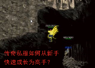 传奇私服如何从新手快速成长为高手? 传奇私服如何从新手快速成长为高手?