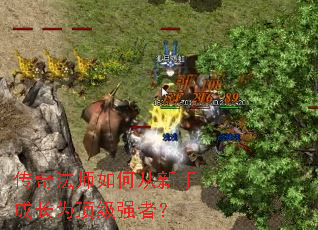 传奇法师如何从新手成长为顶级强者? 传奇法师如何从新手成长为顶级强者?