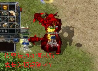 传奇法师如何从新手成长为顶级强者? 传奇法师如何从新手成长为顶级强者?