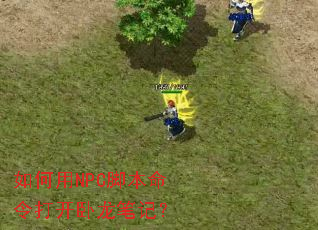 如何用NPC脚本命令打开卧龙笔记? 如何用NPC脚本命令打开卧龙笔记?