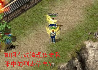 如何有效清理传奇私服中的列表信息? 如何有效清理传奇私服中的列表信息?