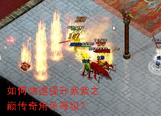 如何快速提升紫紫之巅传奇角色等级? 如何快速提升紫紫之巅传奇角色等级?