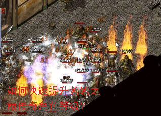 如何快速提升紫紫之巅传奇角色等级? 如何快速提升紫紫之巅传奇角色等级?