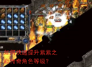 如何快速提升紫紫之巅传奇角色等级? 如何快速提升紫紫之巅传奇角色等级?