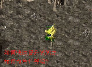 如何快速提升紫紫之巅传奇角色等级? 如何快速提升紫紫之巅传奇角色等级?