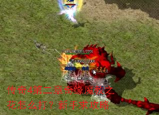 传奇4第二章奇缘魔教之花怎么打?新手求攻略 传奇4第二章奇缘魔教之花怎么打?新手求攻略