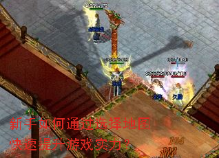 新手如何通过选择地图快速提升游戏实力? 新手如何通过选择地图快速提升游戏实力?