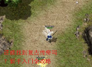 还能找到复古传奇吗?新手入门全攻略 还能找到复古传奇吗?新手入门全攻略