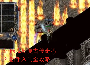 还能找到复古传奇吗?新手入门全攻略 还能找到复古传奇吗?新手入门全攻略