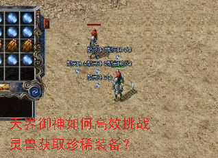 天界御神如何高效挑战灵兽获取珍稀装备? 天界御神如何高效挑战灵兽获取珍稀装备?