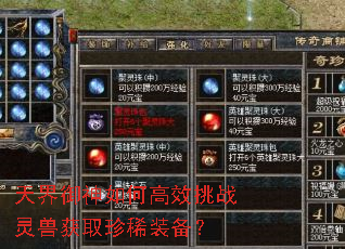 天界御神如何高效挑战灵兽获取珍稀装备? 天界御神如何高效挑战灵兽获取珍稀装备?