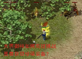天界御神如何高效挑战灵兽获取珍稀装备? 天界御神如何高效挑战灵兽获取珍稀装备?