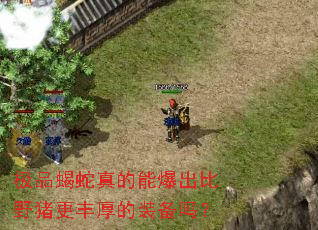 极品蝎蛇真的能爆出比野猪更丰厚的装备吗? 极品蝎蛇真的能爆出比野猪更丰厚的装备吗?