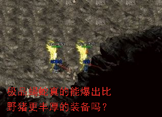 极品蝎蛇真的能爆出比野猪更丰厚的装备吗? 极品蝎蛇真的能爆出比野猪更丰厚的装备吗?