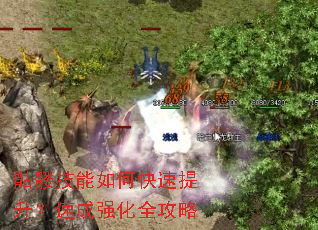 骷髅技能如何快速提升?速成强化全攻略 骷髅技能如何快速提升?速成强化全攻略