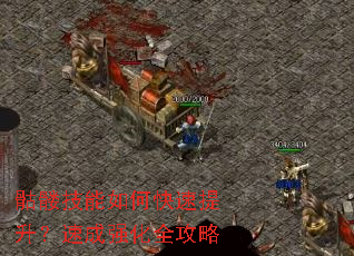 骷髅技能如何快速提升?速成强化全攻略 骷髅技能如何快速提升?速成强化全攻略