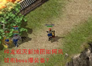 神龙毁灭新地图如何高效刷boss爆装备? 神龙毁灭新地图如何高效刷boss爆装备?
