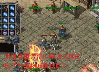 如何掌握传奇中呼唤火灵的技艺与怪物DB数据库? 如何掌握传奇中呼唤火灵的技艺与怪物DB数据库?