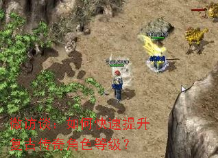 微访谈:如何快速提升复古传奇角色等级? 微访谈:如何快速提升复古传奇角色等级?