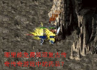 哪里能免费领取复古传奇传奇游戏中的药品? 哪里能免费领取复古传奇传奇游戏中的药品?
