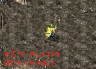 金晶玄阳盾牌如何有效提升角色防御力? 金晶玄阳盾牌如何有效提升角色防御力?