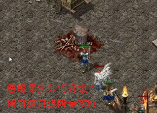 恶魔果实如何升级?稀有道具进阶全攻略 恶魔果实如何升级?稀有道具进阶全攻略