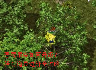 恶魔果实如何升级?稀有道具进阶全攻略 恶魔果实如何升级?稀有道具进阶全攻略